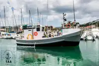 Navio de pesca de arrasto à venda