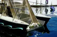 Barcos de trabalho à venda