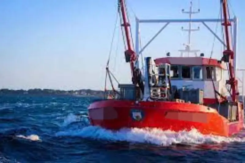 Barcos de trabalho à venda
