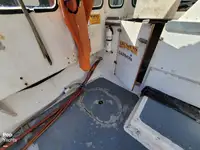 Navio de processamento de peixe à venda