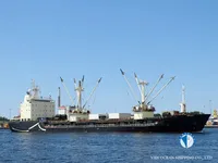 Navio frigorífico à venda
