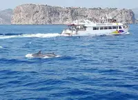 Navio de passageiros à venda