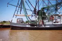 Navio de pesca de arrasto à venda