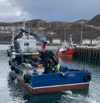 Barcos de trabalho à venda