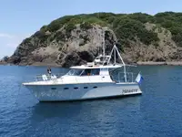 Navio de pesquisa à venda