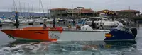 Navio de transporte de passageiros (Ferry) à venda