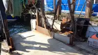 Navio de pesca de arrasto à venda