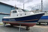Barcos de trabalho à venda