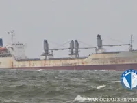 Navio frigorífico à venda