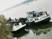 Draga à venda