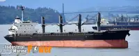Navio graneleiro à venda