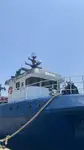 Navio de pesca de arrasto à venda