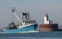 Navio de pesca de cerco à venda