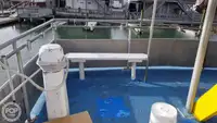 Catamarã à venda