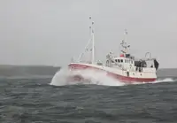 Trawler à venda