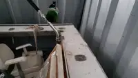 Navio de pesca de arrasto à venda
