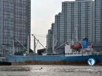 Navio frigorífico à venda