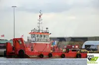 Barcos de trabalho à venda