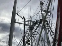 Navio de pesca de arrasto à venda