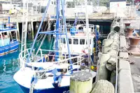 Navio transportador de GNL à venda
