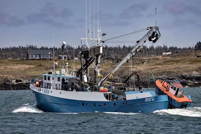 Navio de pesca de cerco à venda