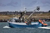 Navio de pesca de cerco à venda