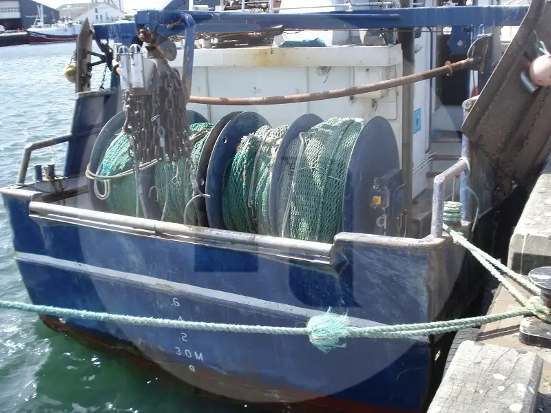 Navio transportador de peixes vivos à venda