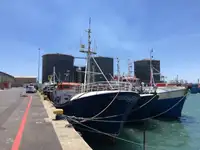 Longliner à venda