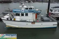 Barcos de trabalho à venda