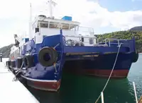 Catamarã à venda