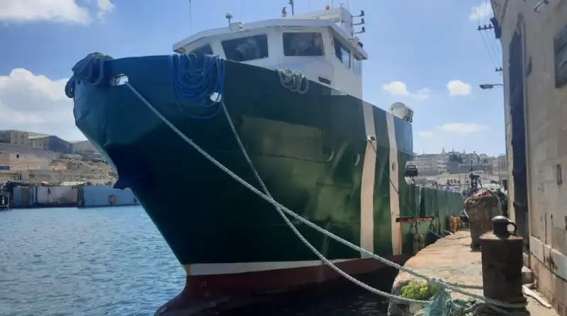 Barcos de trabalho à venda