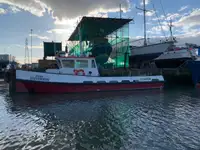 Barcos de trabalho à venda