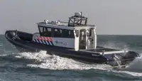 Barco inflável rígido à venda