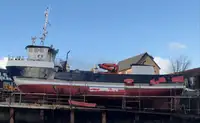 Barcos de trabalho à venda