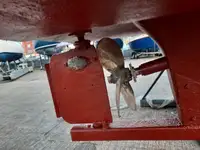 Cutter à venda