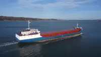 Navio graneleiro à venda