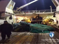 Navio de pesca de arrasto à venda