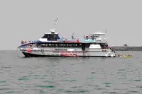 Catamarã à venda
