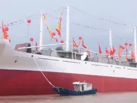 Navio frigorífico à venda