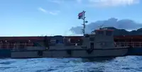 Barcos de trabalho à venda