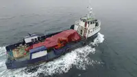 Barcos de trabalho à venda