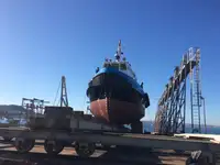 Barcos de trabalho à venda