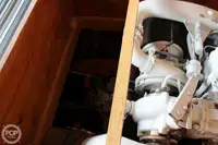 Navio de processamento de peixe à venda