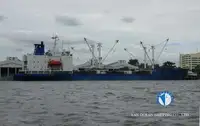 Navio frigorífico à venda