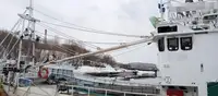 Navio de pesca de arrasto à venda