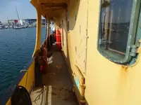 Barcos de trabalho à venda