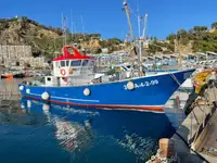 Navio de pesca de arrasto à venda
