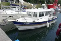 Barcos de trabalho à venda