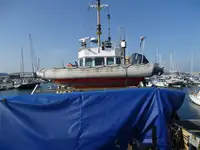 Barcos de trabalho à venda