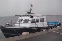 Barcos de trabalho à venda